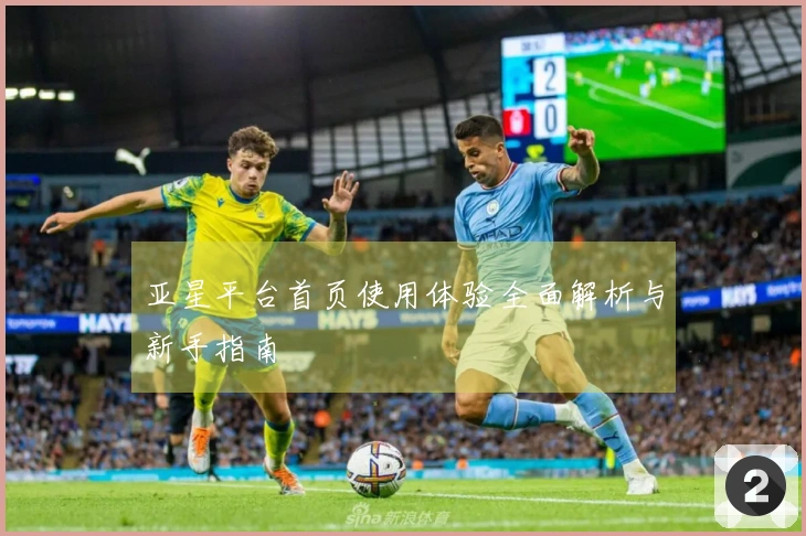 亚星平台首页使用体验全面解析与新手指南